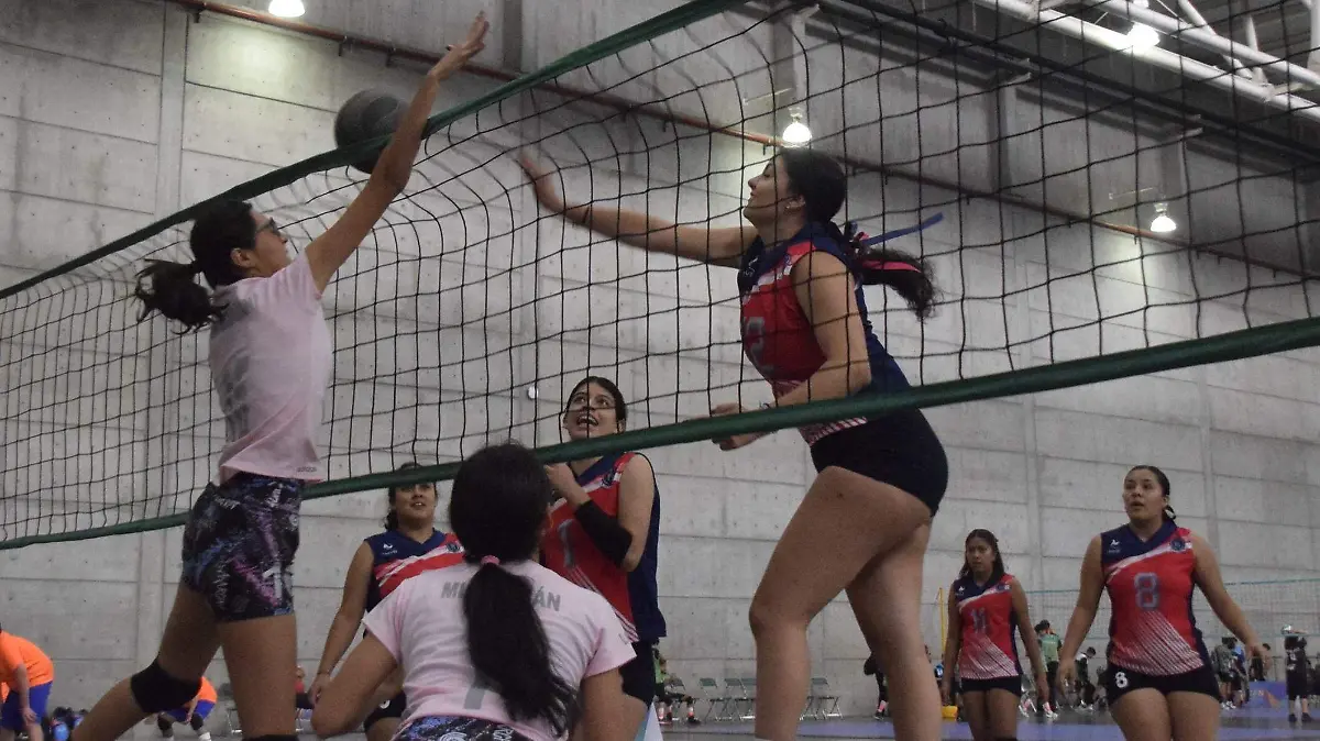 f armona voleibol (1)