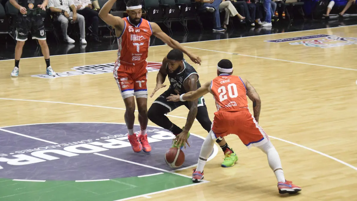 F CARMONA ABEJAS (3)