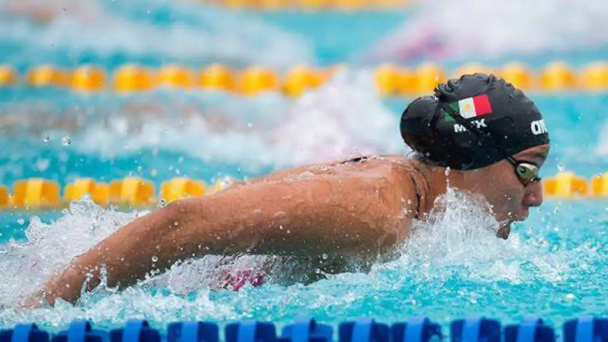 WhatsApp Image 2018-11-16 at 2.11.50 PM