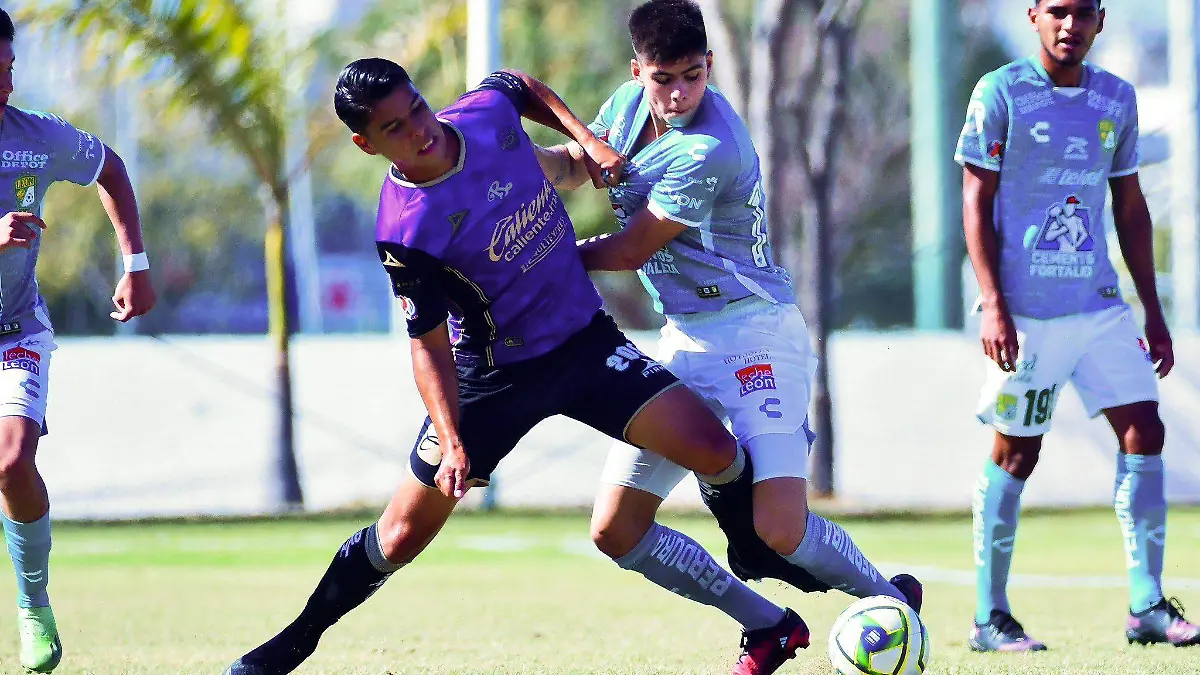 FUERZAS-BÁSICAS (1)