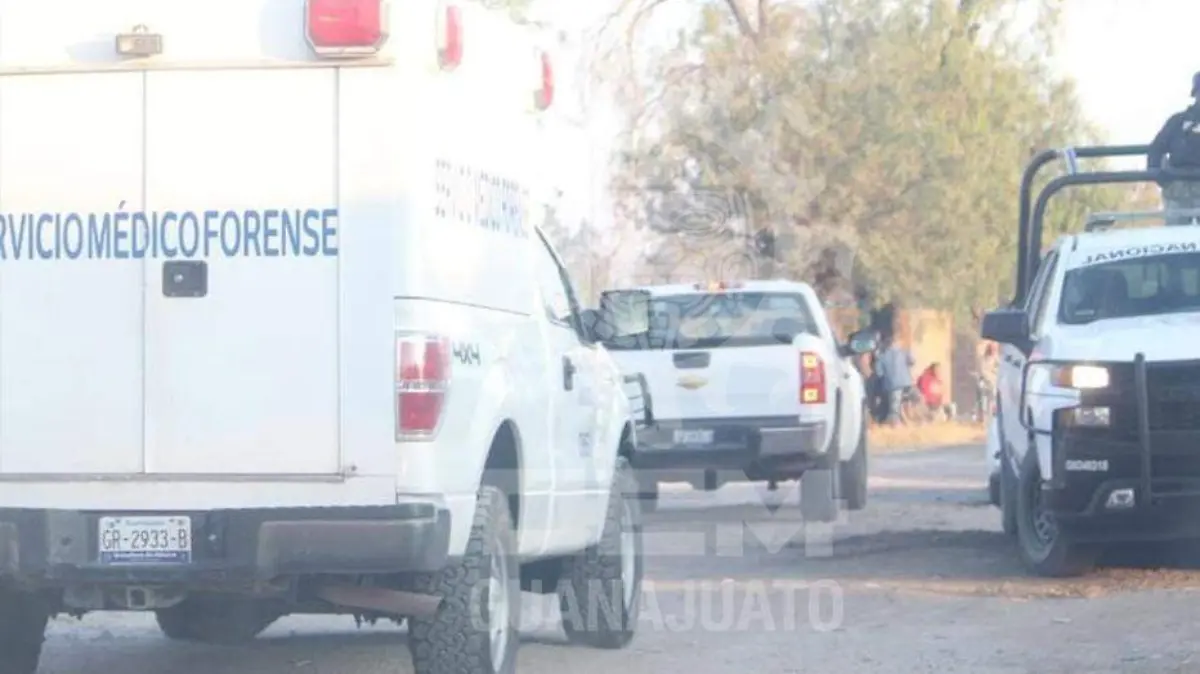 WhatsApp Image 2020-12-23 at 8.13.59 AM