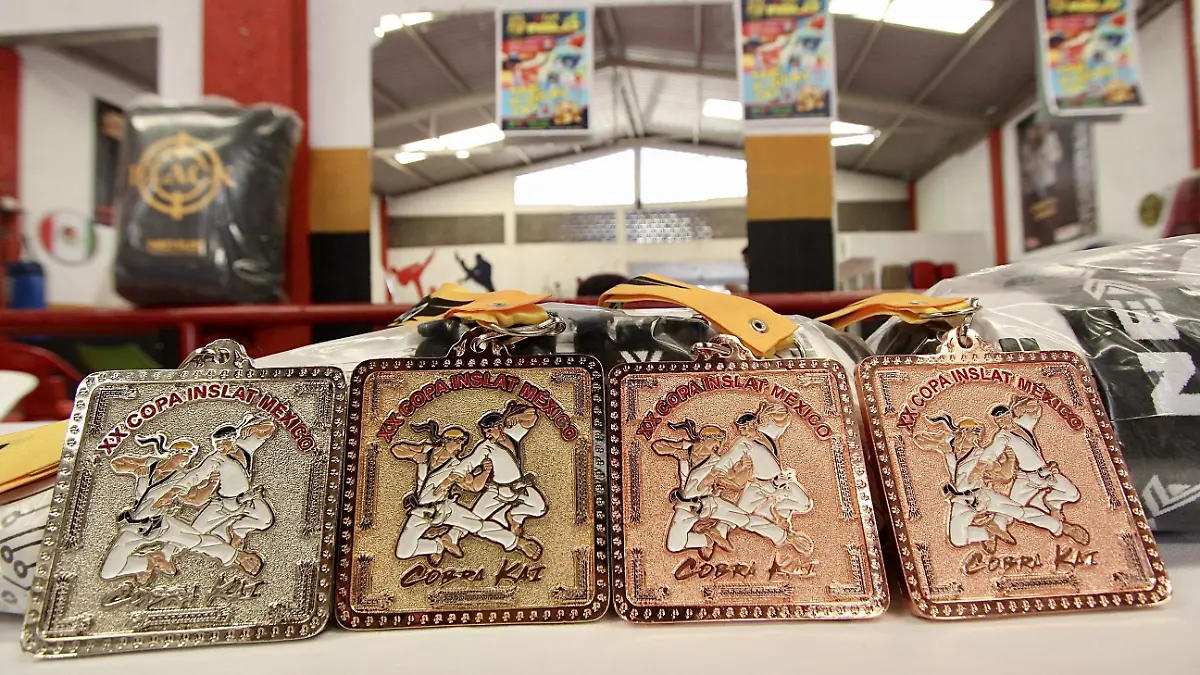 FCO MEZA - INSLAT (10)