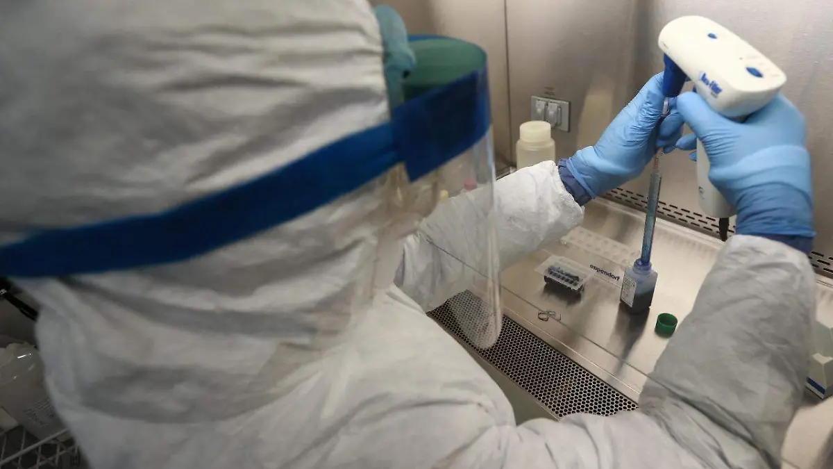 WhatsApp Image 2020-07-21 at 7.11.48 PM