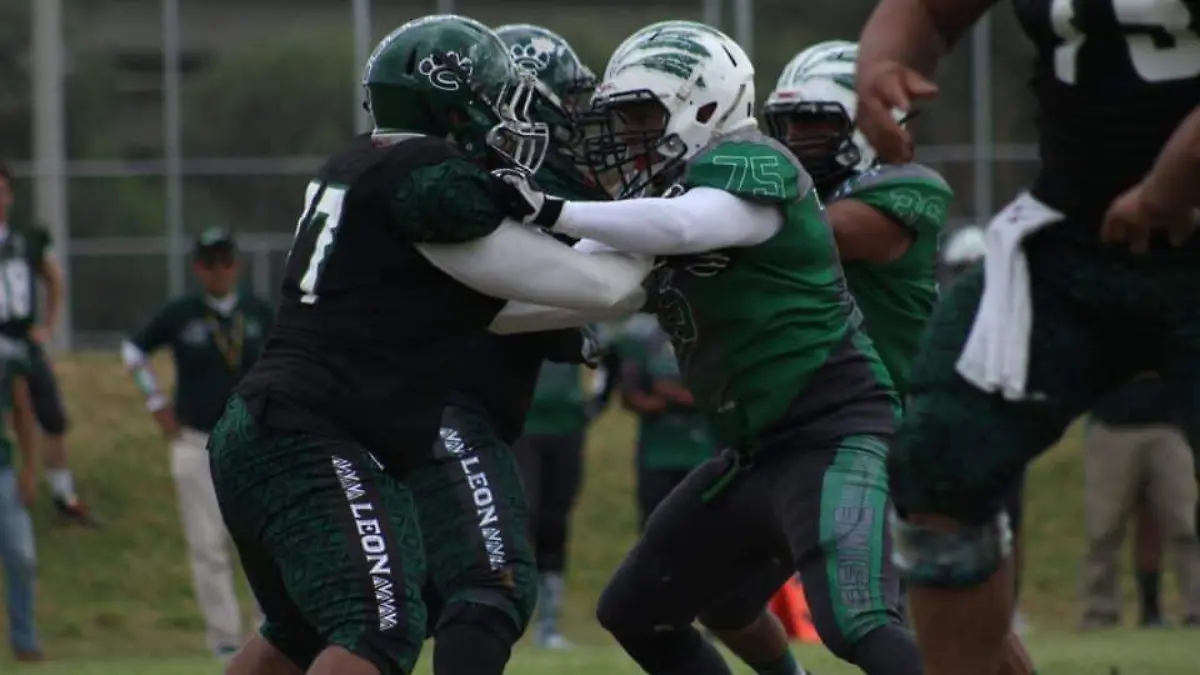 45195623_1573653699448064_1533544955237105664_n