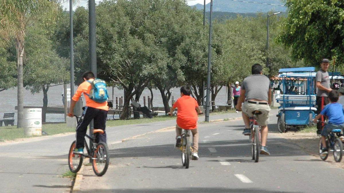 f carmona metropolitano (1)