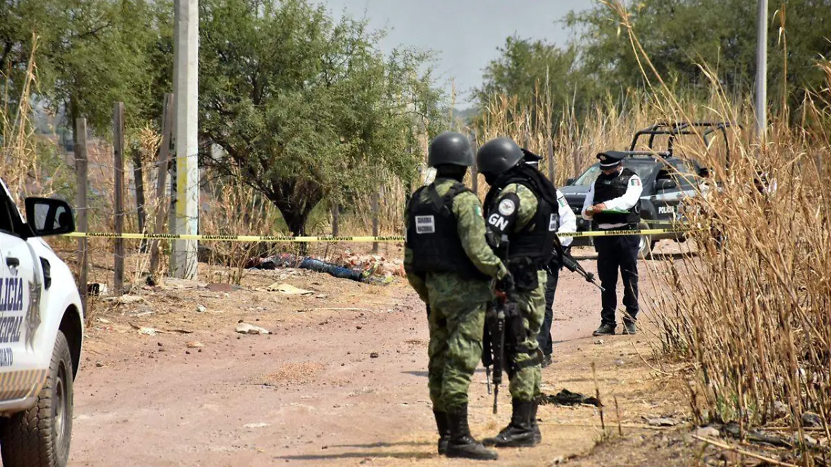 WhatsApp Image 2020-07-23 at 6.33.41 PM