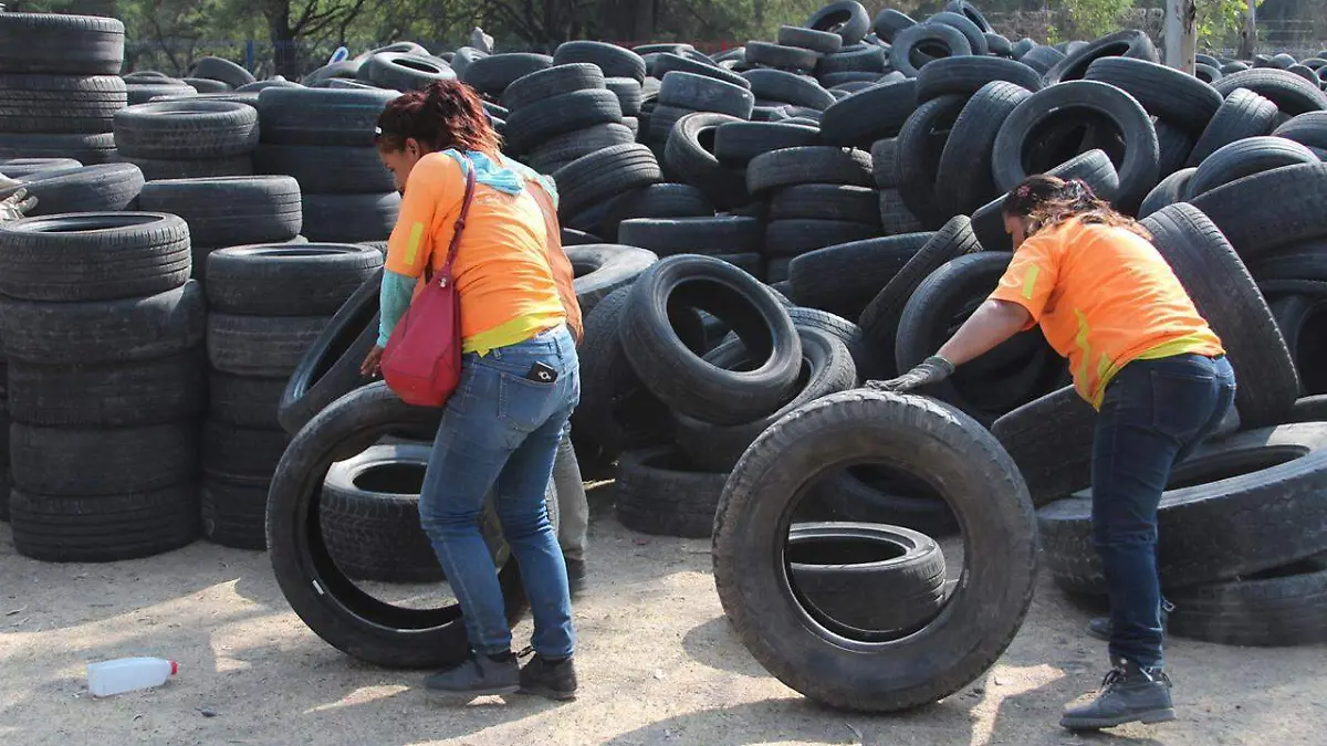 WhatsApp Image 2019-05-31 at 10.24.05 AM