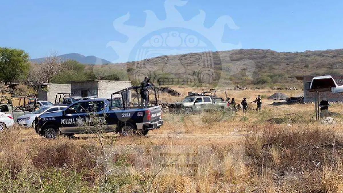 WhatsApp Image 2020-11-11 at 4.16.54 PM