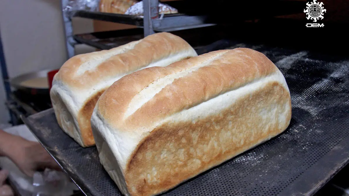 FCO MEZA - PANADERIAS (10)