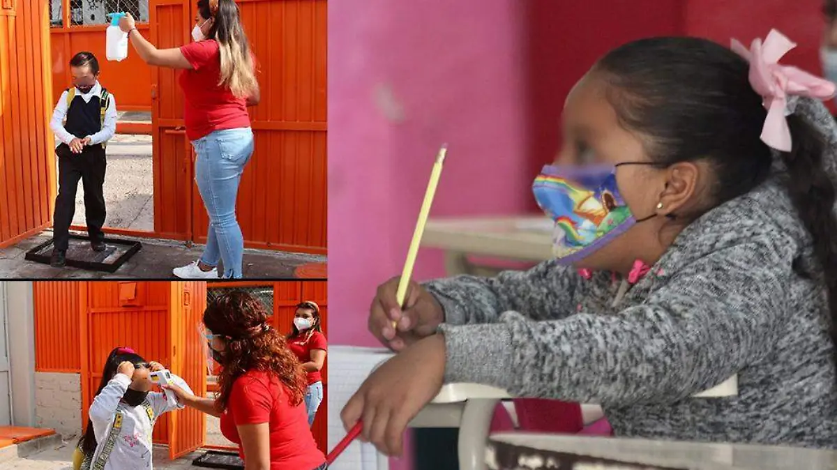 WhatsApp Image 2021-05-11 at 12.59.40 PM