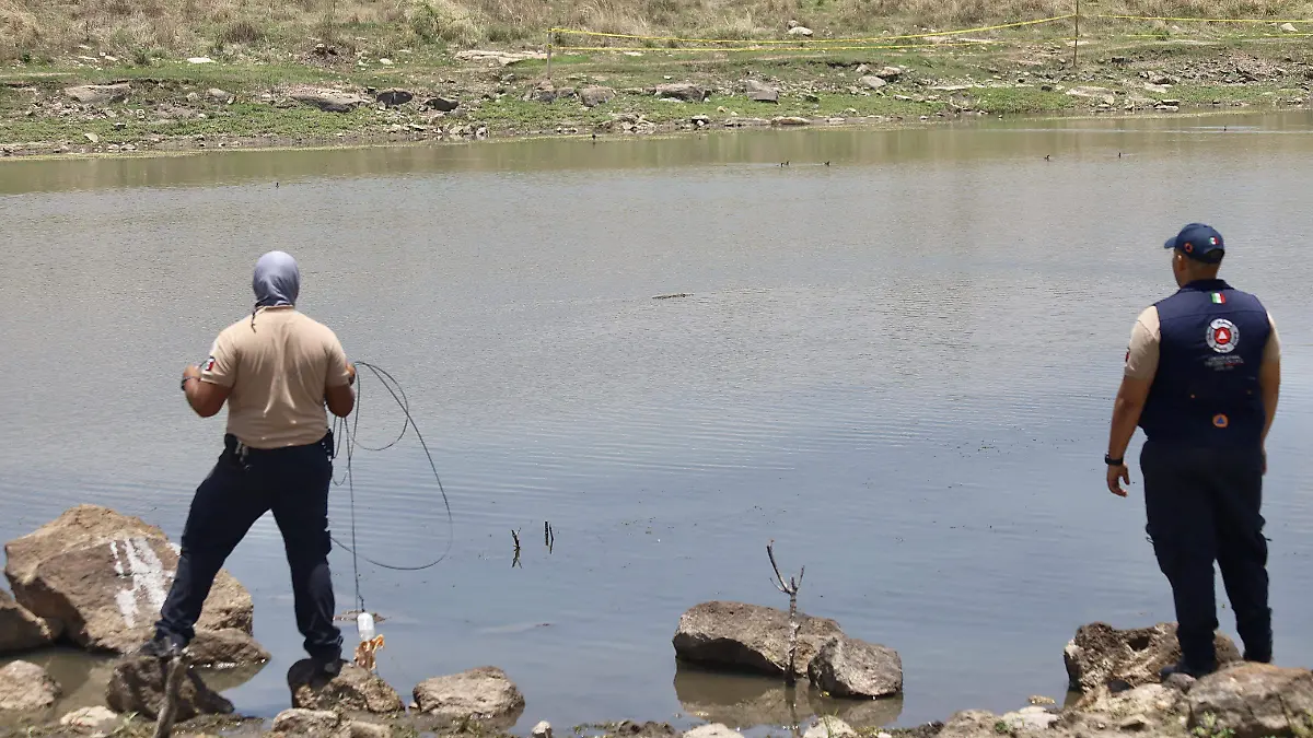 Cocodrilo-en-presa-de-León-4