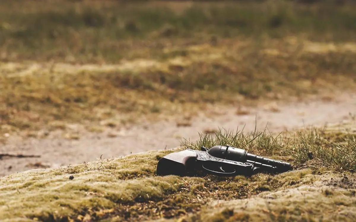 gun-801836_1920