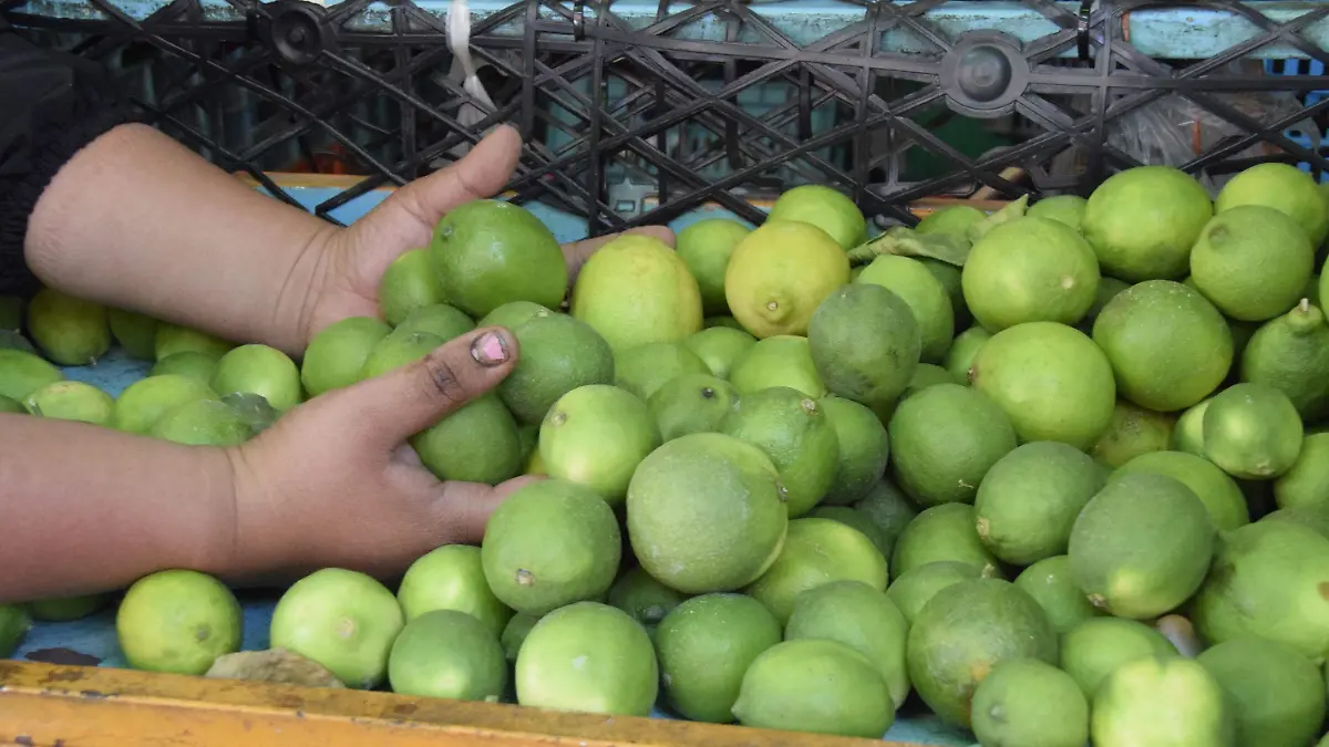F CARMONA LIMON (2)