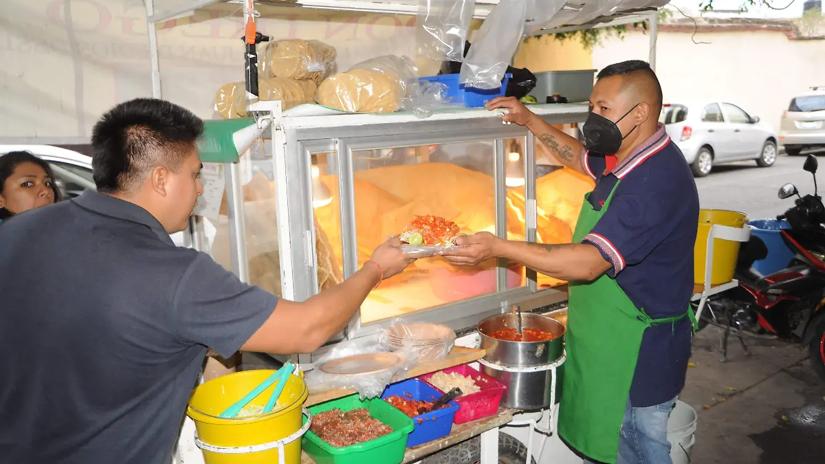 Las-famosas-guacamayas-de-León-Guanajuato (2)