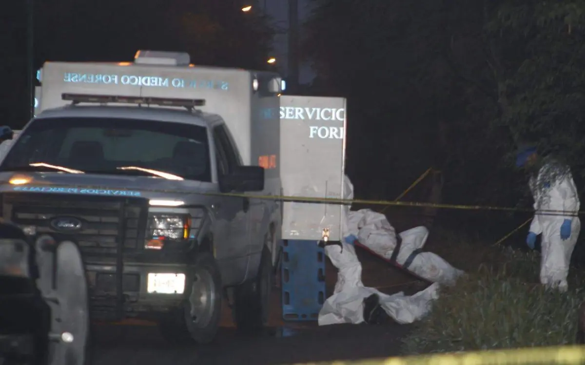 WhatsApp Image 2020-11-14 at 1.20.27 PM