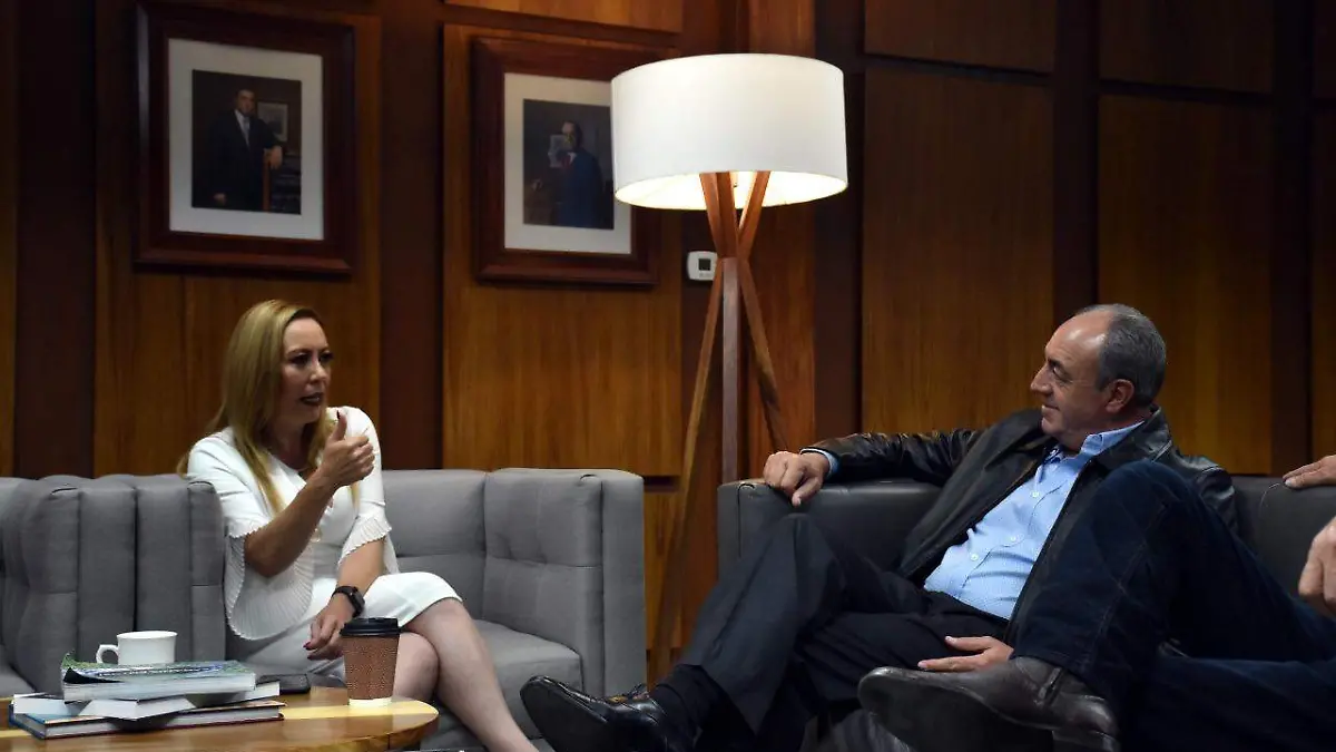 Ocurrencia-querer-eliminar-las-pluris