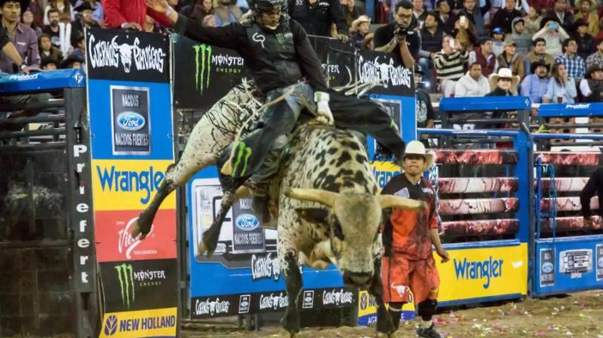 cuernos-chuecos-regresa-a-la-1