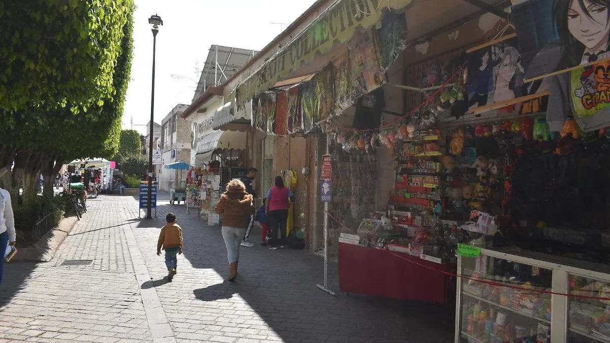 ALCALDE SAN PANCHO 9