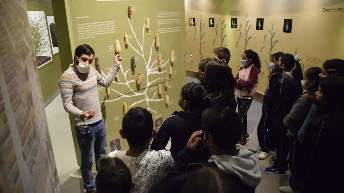 Oferta-cultural-de-León-3