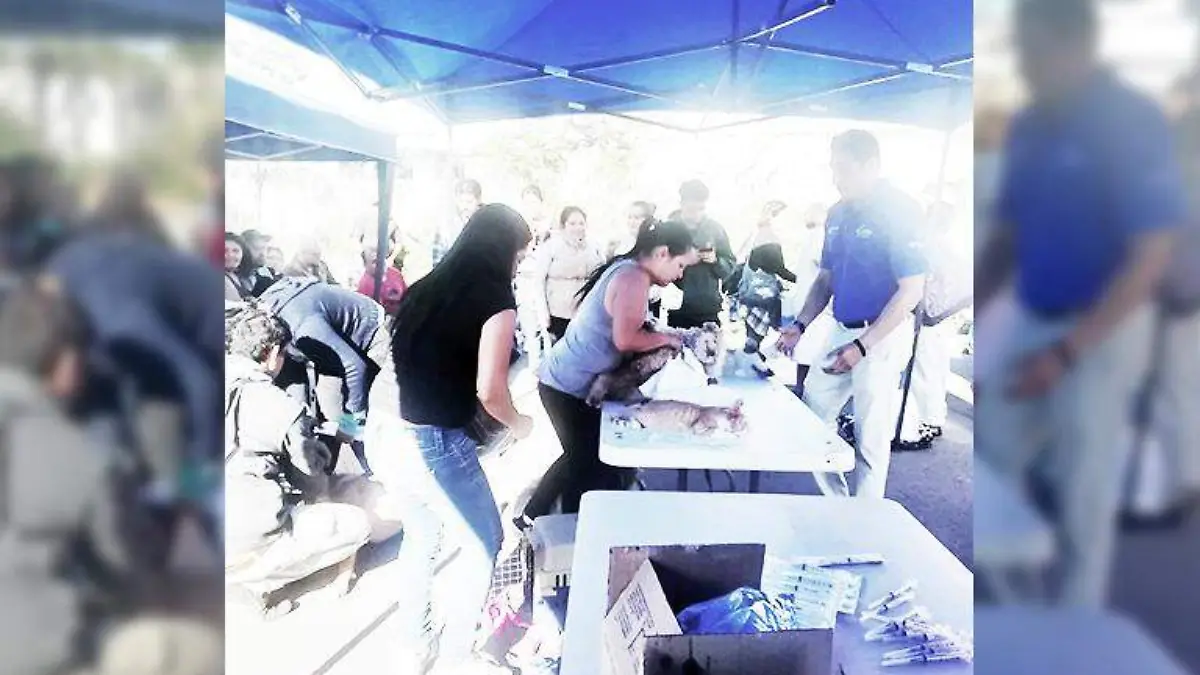 E.CAMACHO - SEMANA DE VACACION 2