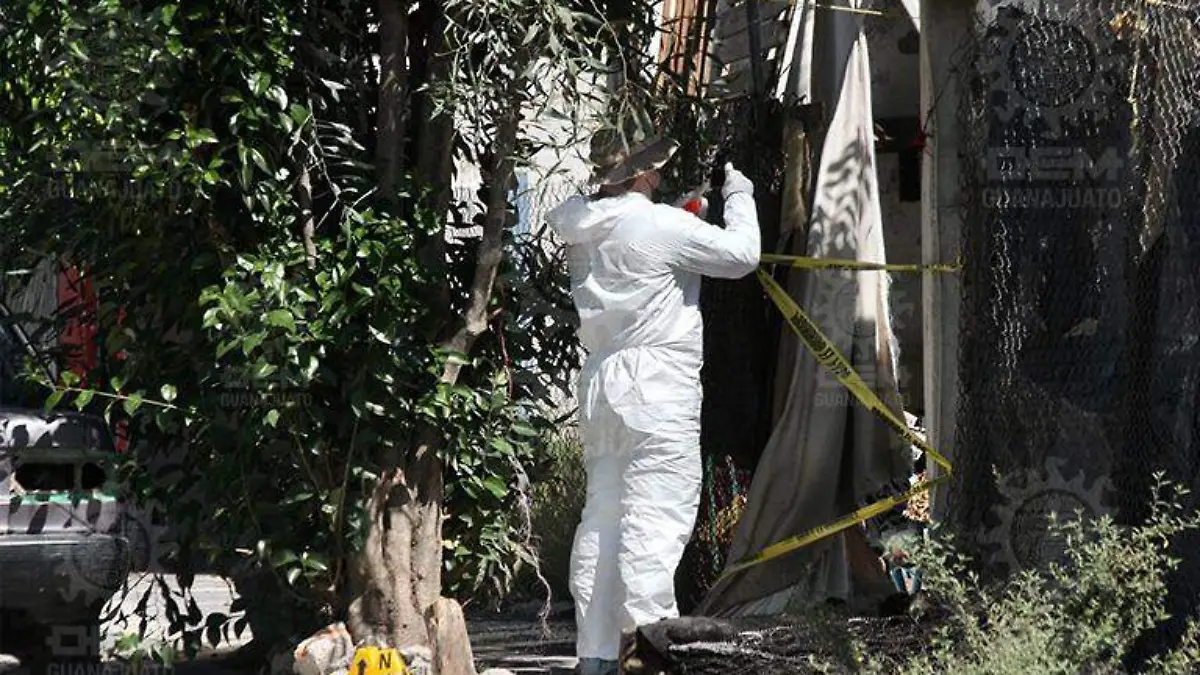 WhatsApp Image 2021-06-11 at 11.05.07 AM