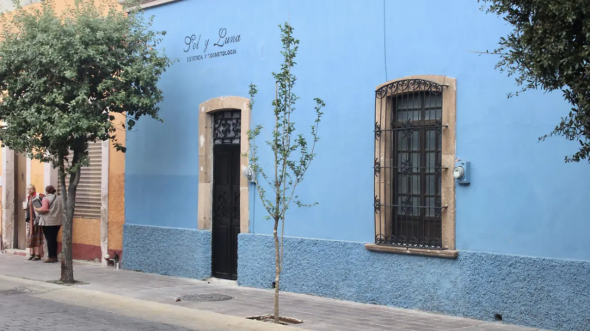 Nuevos-árboles-en-el-centro-2