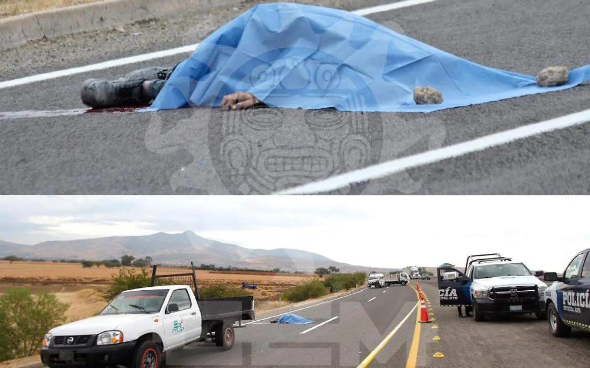 WhatsApp Image 2020-12-04 at 10.10.15 AM (1)