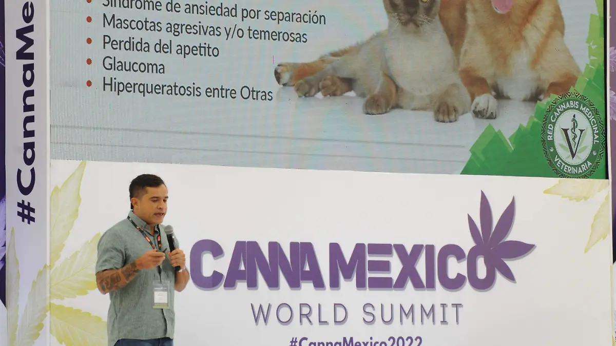 mascotas-cannabis (2)