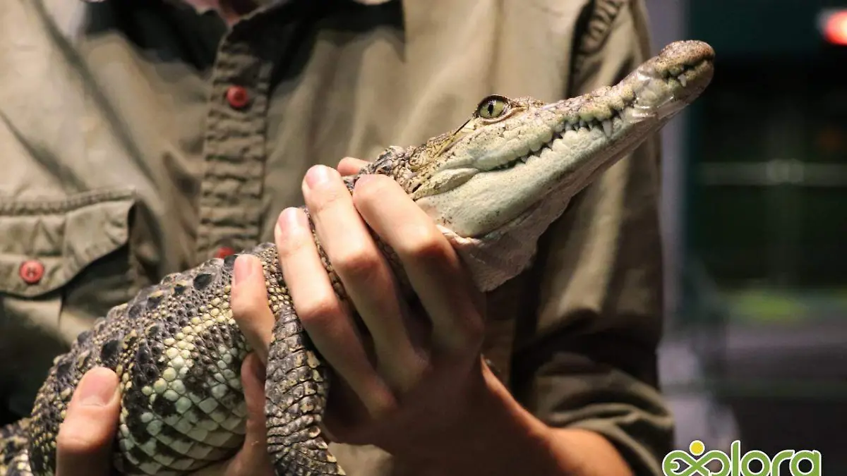 775509f4-eb05-41b7-9b30-ebf85f41c2af