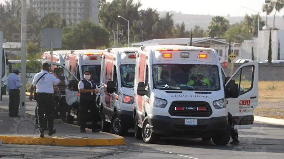 WhatsApp Image 2021-03-23 at 7.25.54 PM