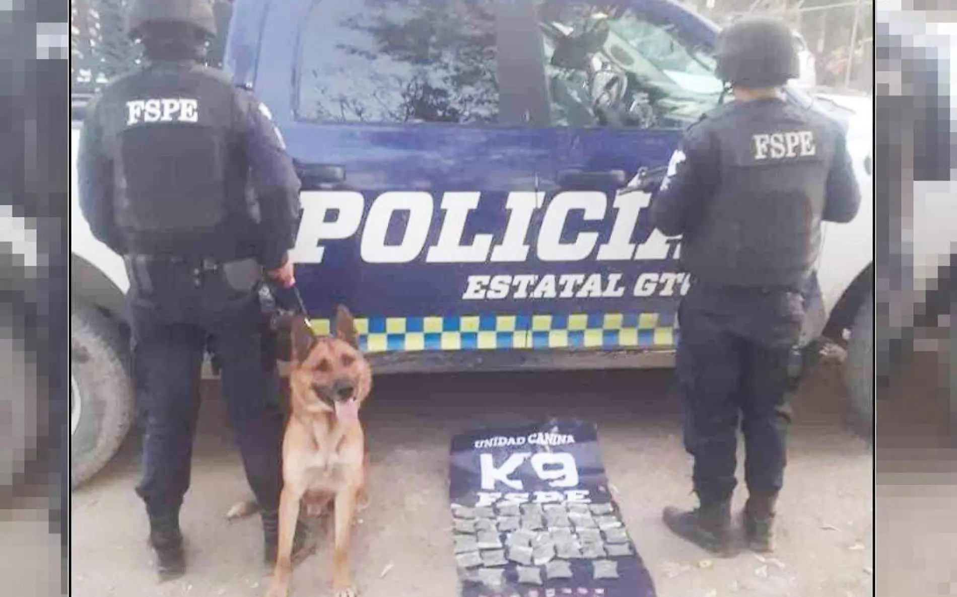 K9-1