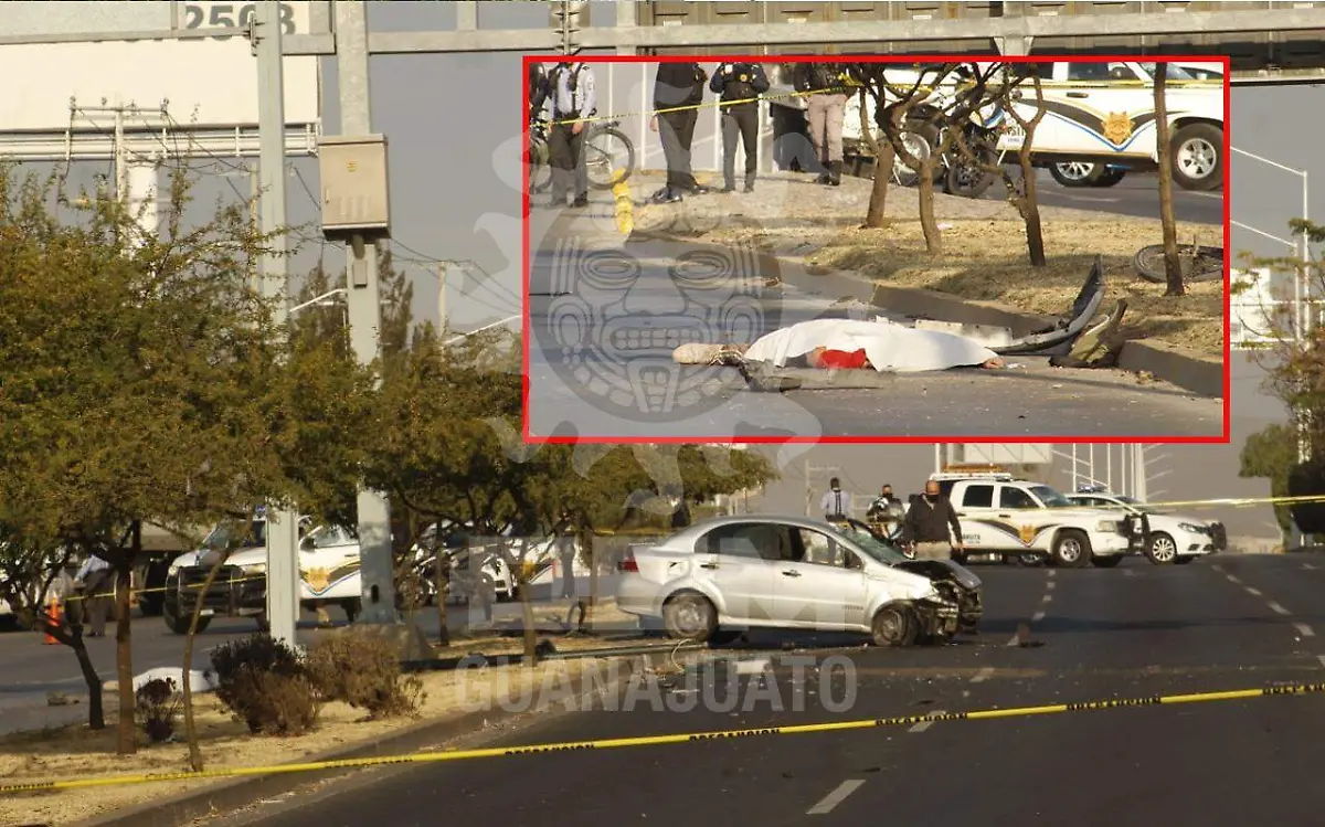 WhatsApp Image 2021-01-09 at 9.09.05 AM