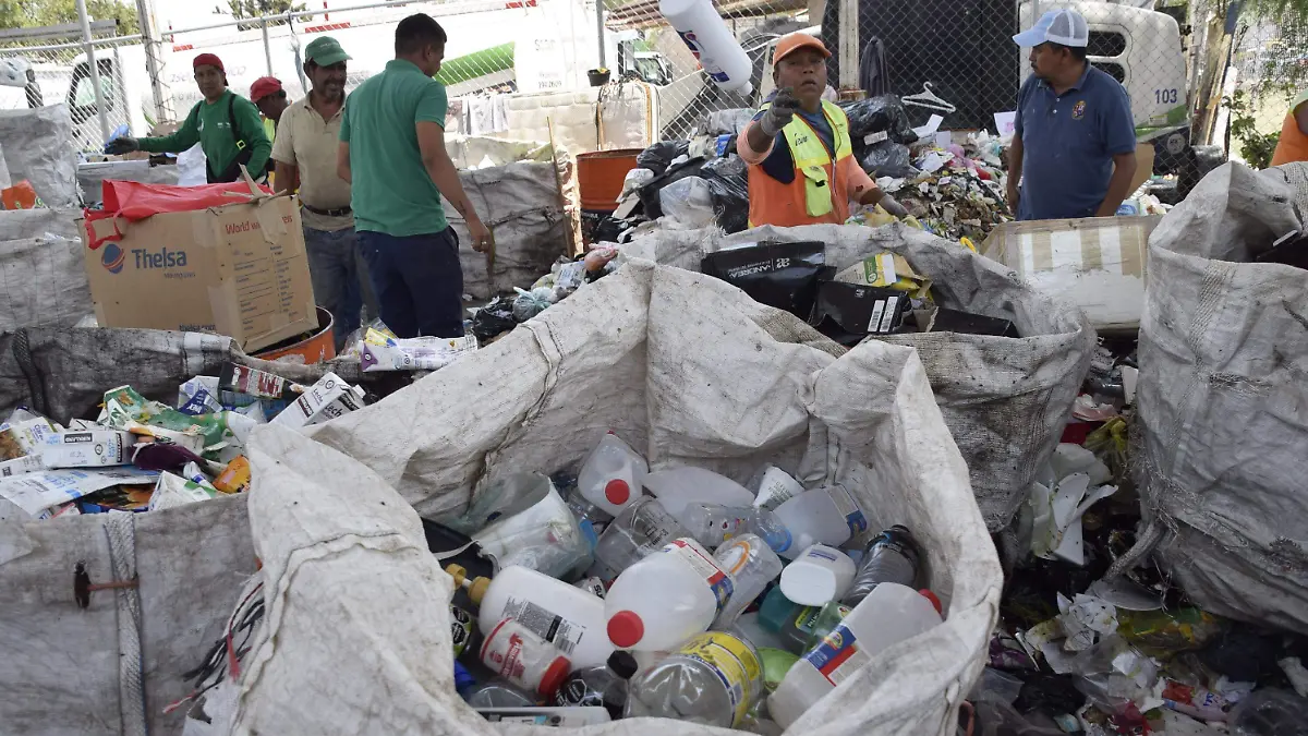 Centro-de-acopio (1)