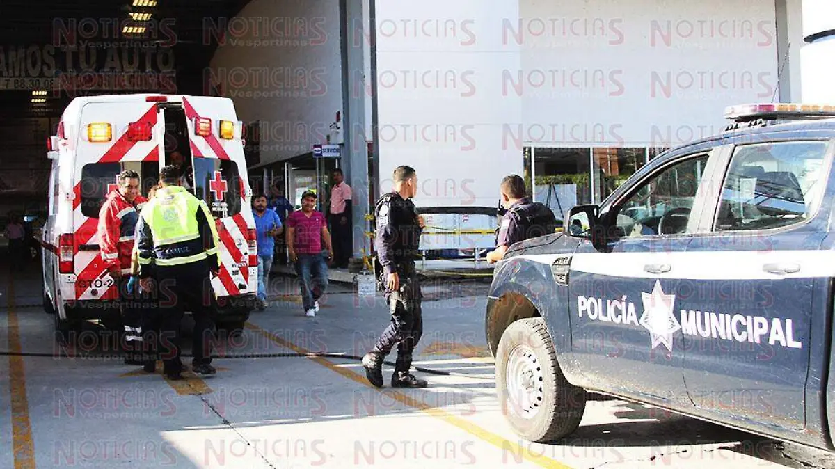 CAIDO PARQUE PIEL  (1)