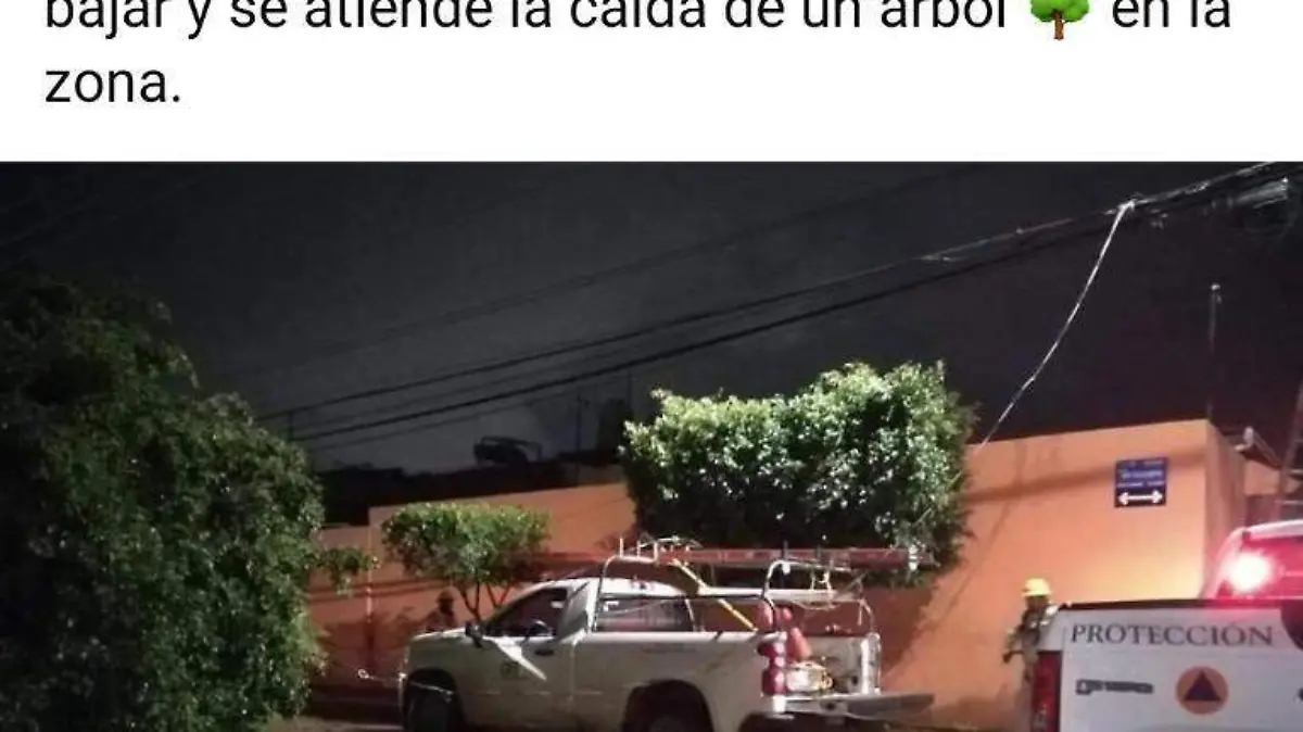 Image 2021-07-10 at 9.42.48 PM