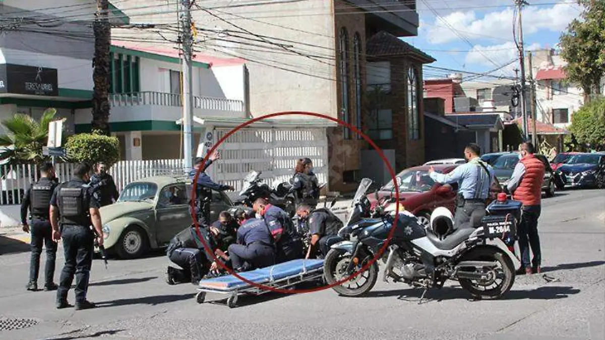 WhatsApp Image 2021-02-12 at 11.50.55 AM