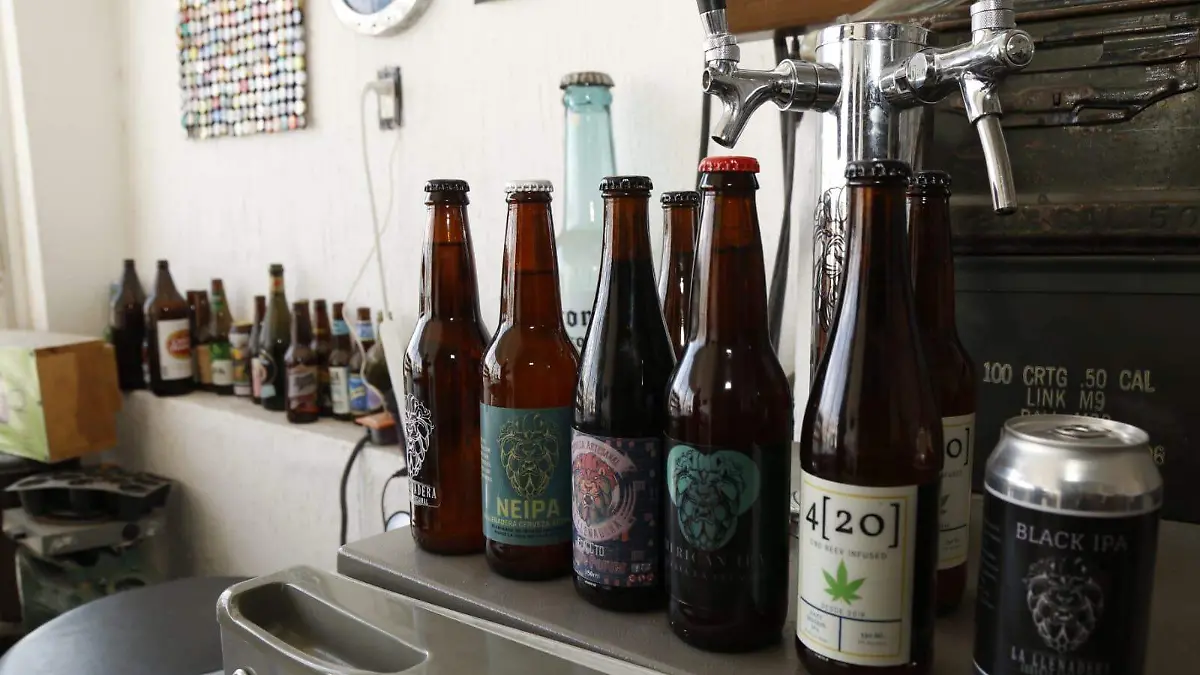 Leonés-hace-cerveza-artesanal-de-cannabis3