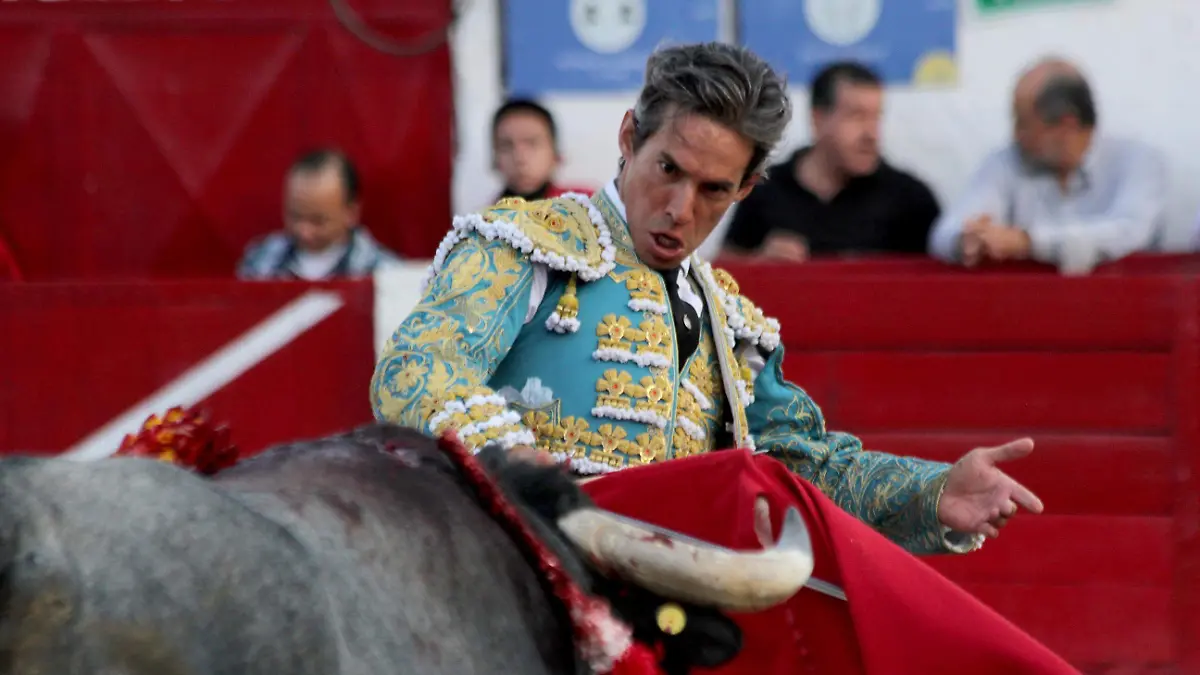 FCO MEZA - TOROS (17)