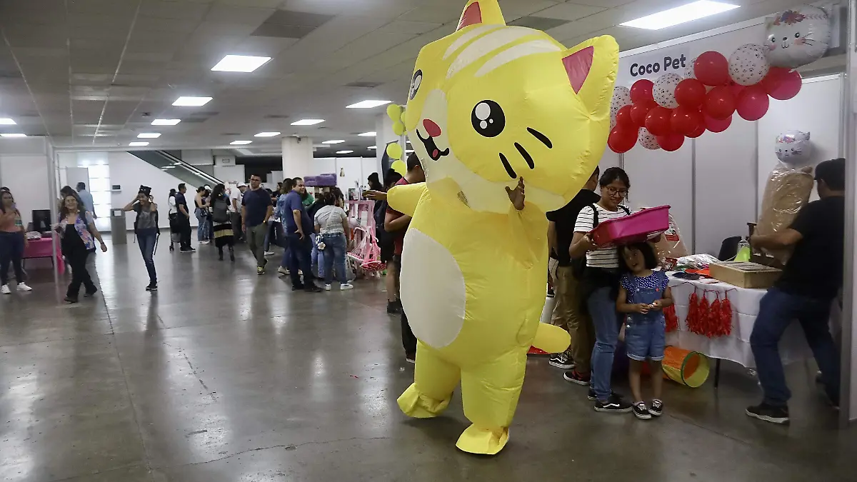 EXPO-GATITOS (2)