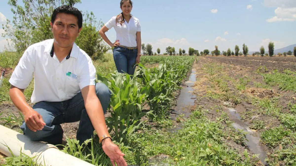 WhatsApp Image 2021-03-19 at 6.46.16 PM