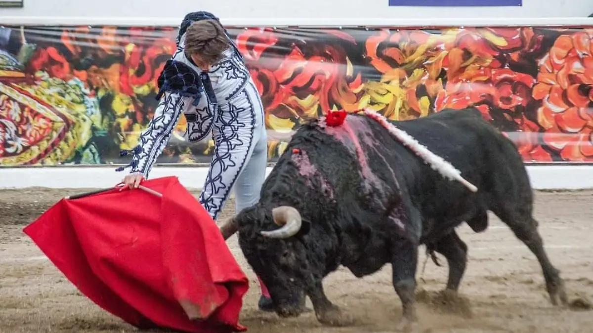 TOROS (3)