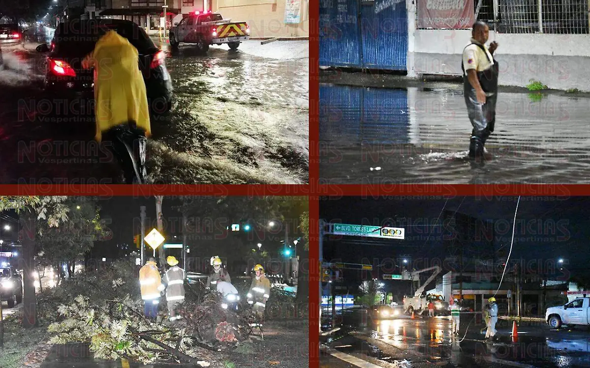 WhatsApp Image 2020-08-29 at 8.19.21 AM