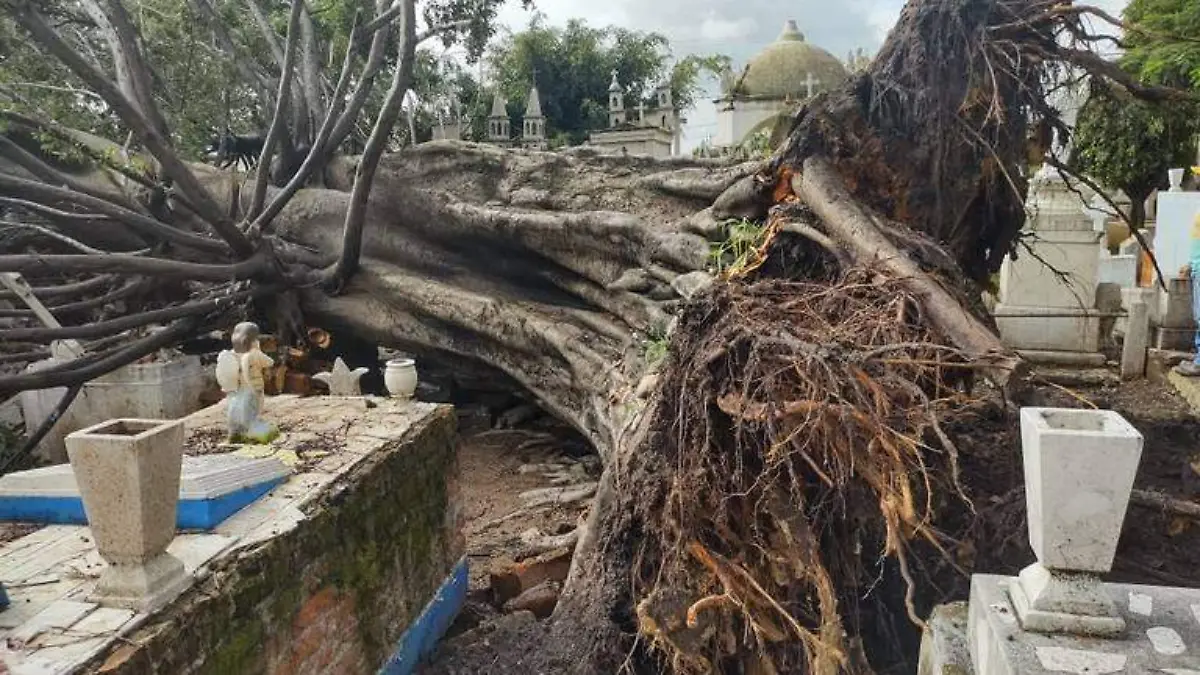 panteón-de-Juventino-Rosas