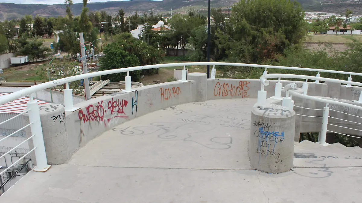 PUENTE (6)