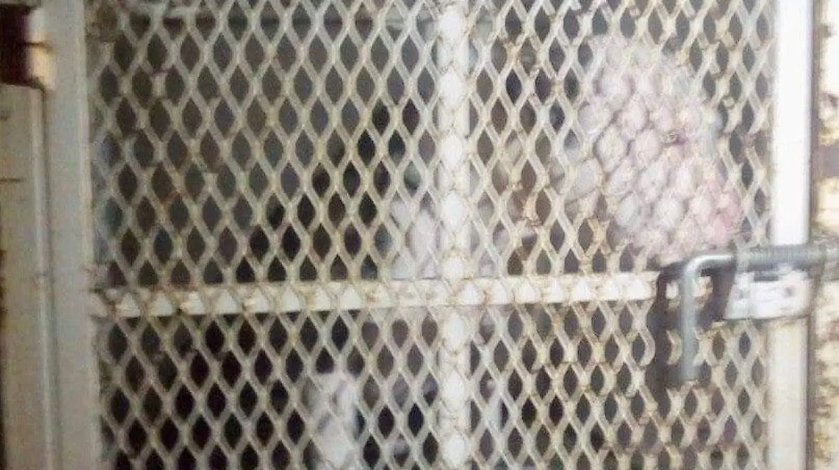 Image 2019-06-12 at 11.48.35 AM