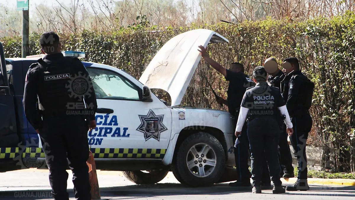 WhatsApp Image 2021-05-04 at 10.12.11 AM