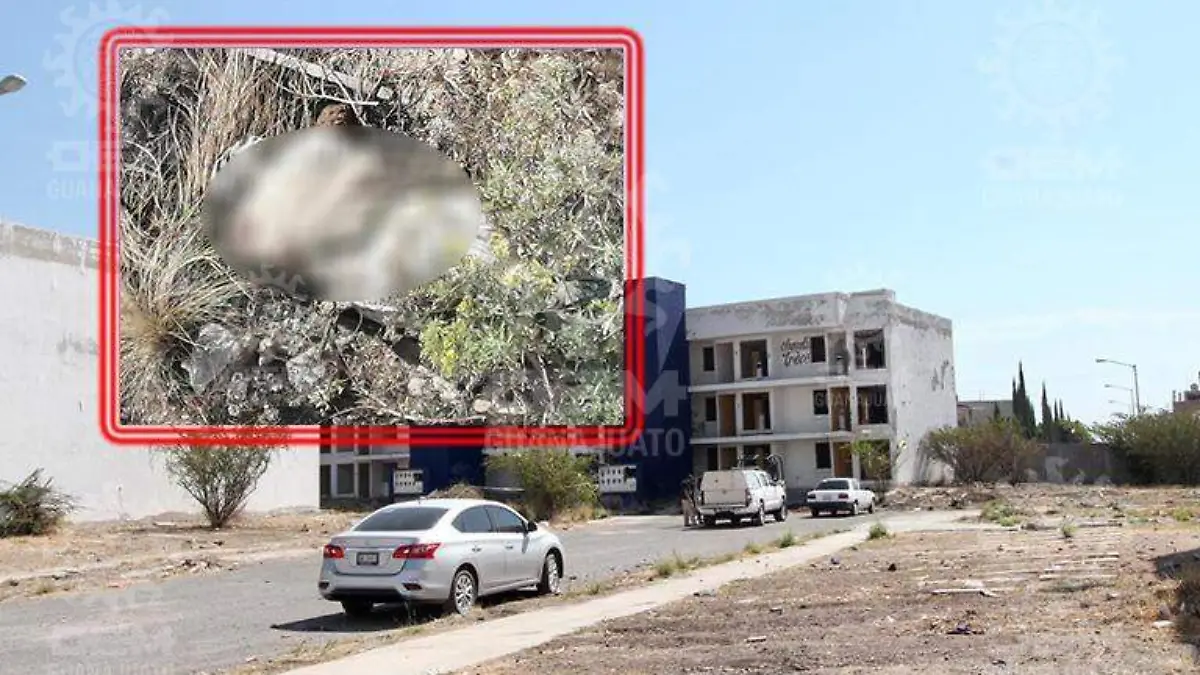 WhatsApp Image 2021-03-12 at 10.57.38 AM