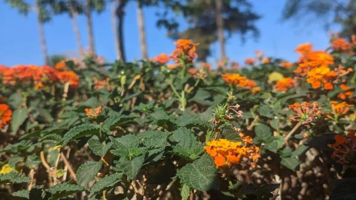 Image 2023-03-14 at 4.31.07 PM