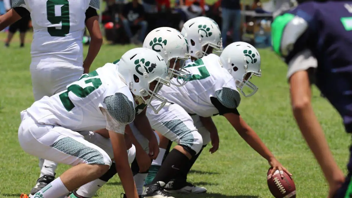 Cachorros-evitan-embestida-de-los-Búfalos-potosinos (1)