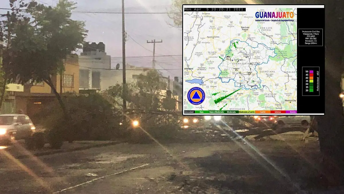 WhatsApp Image 2021-04-05 at 8.11.23 PM